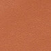 color swatch Rebella Brown Hooded Leather Bomber Jacket